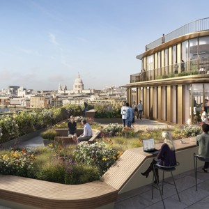 Full Year Results 2025