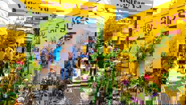 Woolyard Location Hero