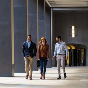 Sell-side analyst tour