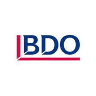 BDO Stoy Hayward 2007