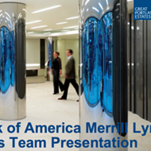 Merrill Lynch Equity Sales Presentation